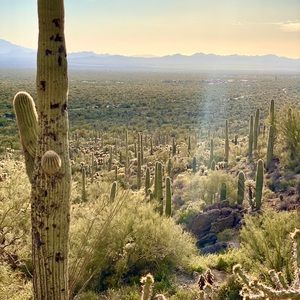 Meet your Posher, Dina